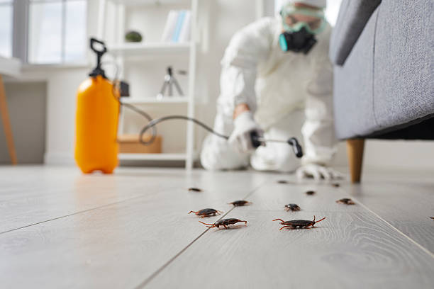 Commercial Rodent Management in Fernandina Beach